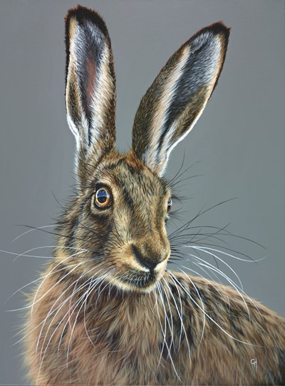 Hare in the Headlights by Gina Hawkshaw - Original Painting on Stretched Canvas